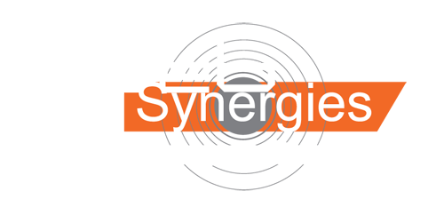 Web Synergies
